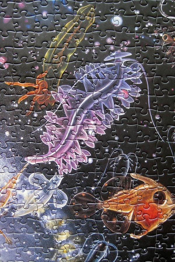 pomegranate_biosphere_900 IMG_8488