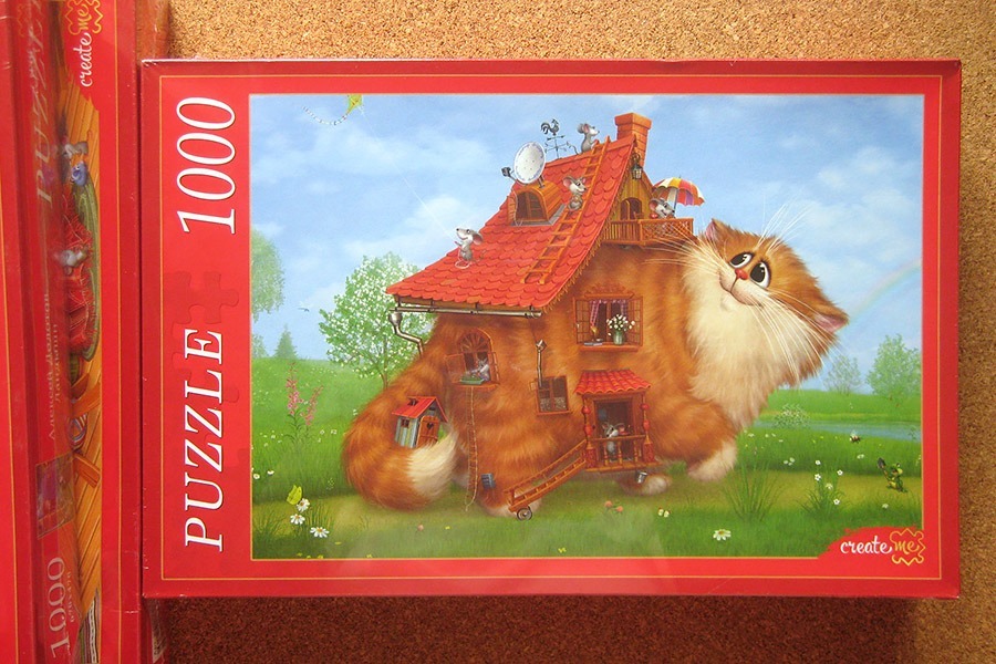 puzzle_rk_dolotov_IMG_9328