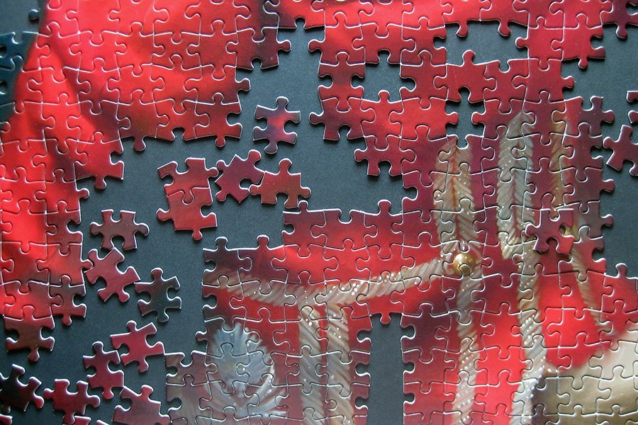 rk puzzle_hermitage cat_IMG_9361