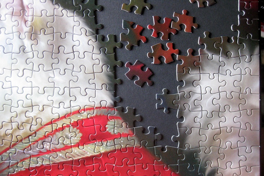 rk puzzle_hermitage cat_IMG_9365