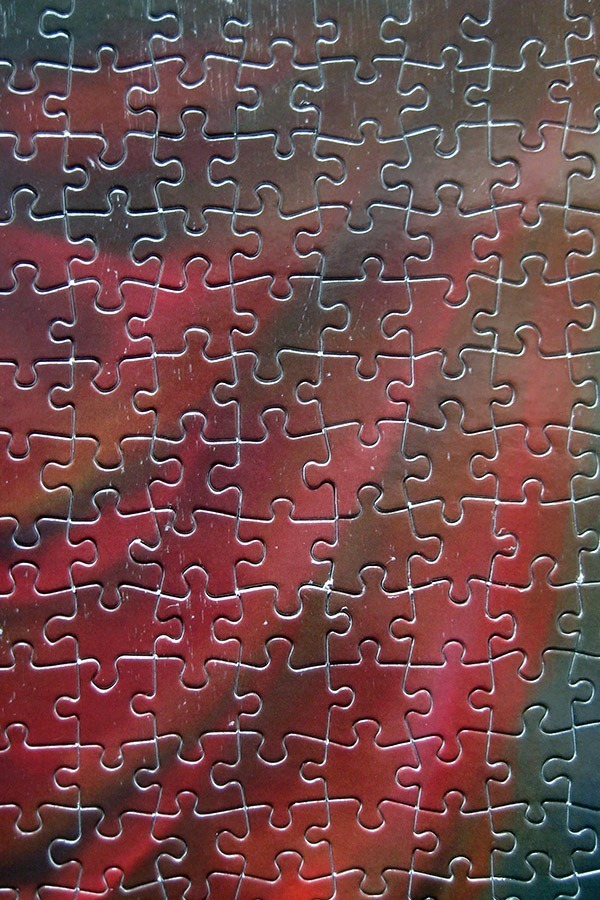 rk puzzle_hermitage cat_IMG_9492.jpg