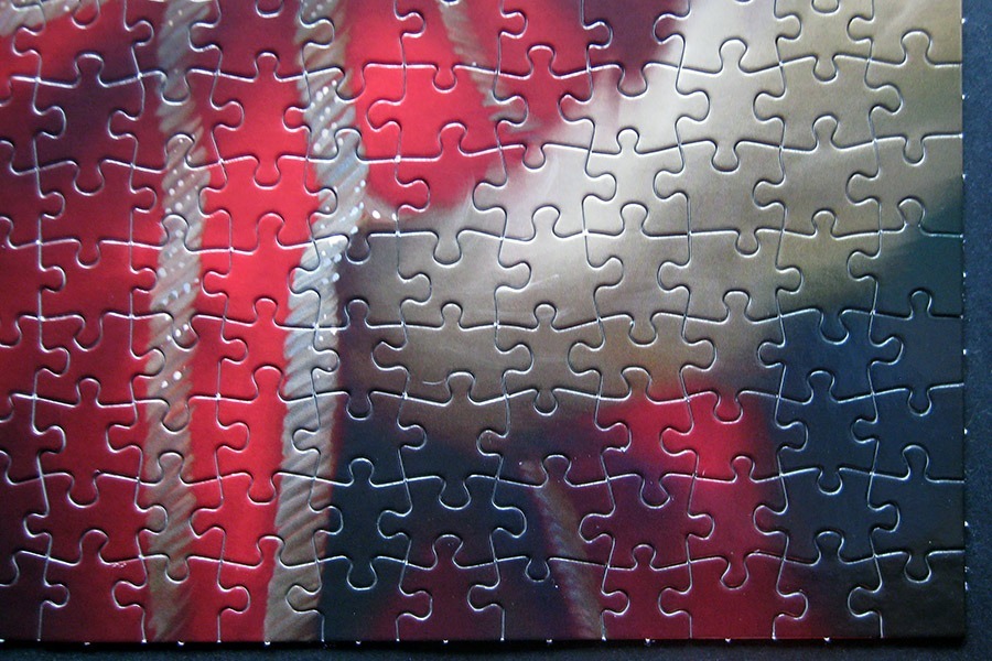 rk puzzle_hermitage cat_IMG_9501