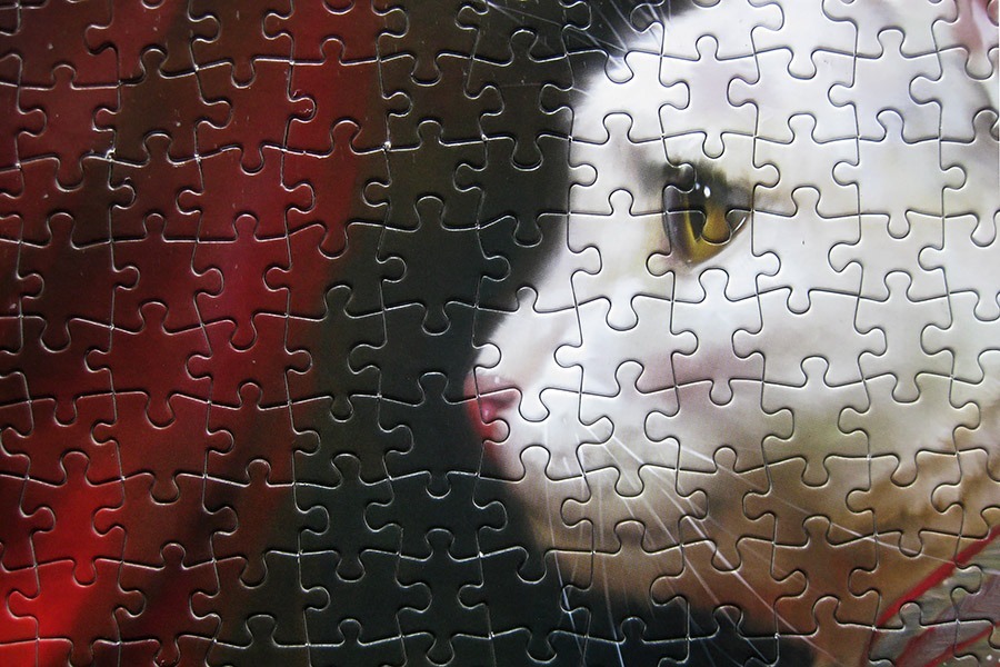 rk puzzle_hermitage cat_IMG_9503.jpg
