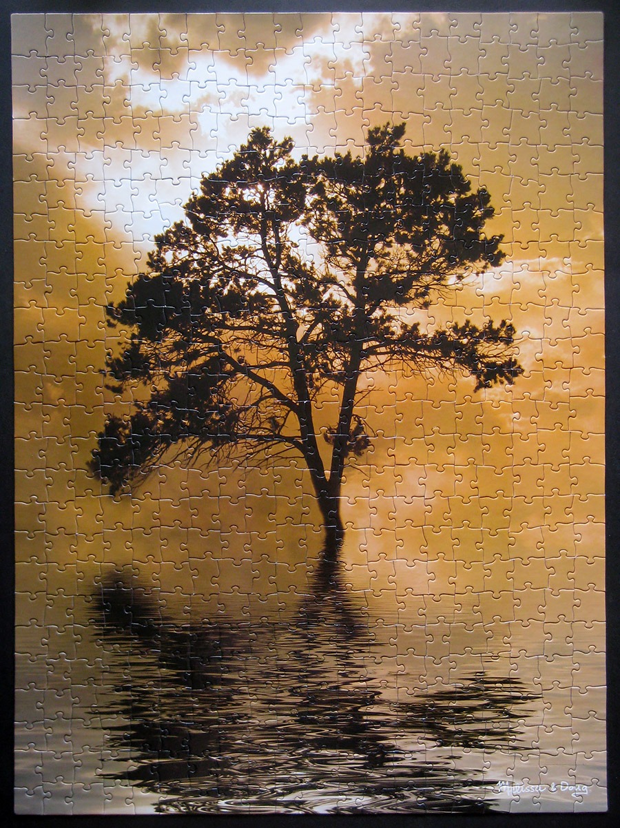 melissa doug_tree island_900 IMG_9370