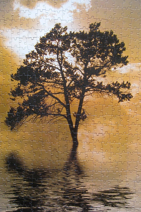 melissa doug_tree island_900 IMG_9383