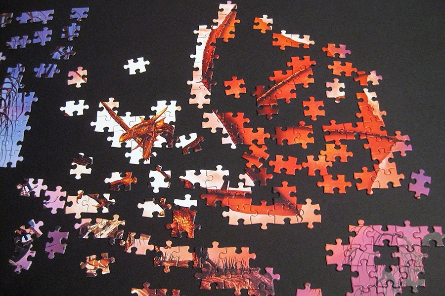 puzzle factory_dragon_900 IMG_9650
