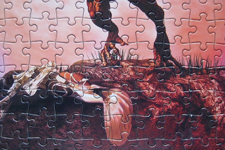 puzzle factory_dragon_900 IMG_9666