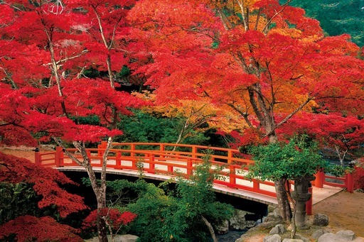 Aki's Miyajima Moriya Park - Hiroshima_2016 mini