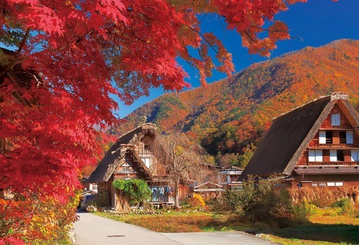 fall deep shirakawago gifu_300