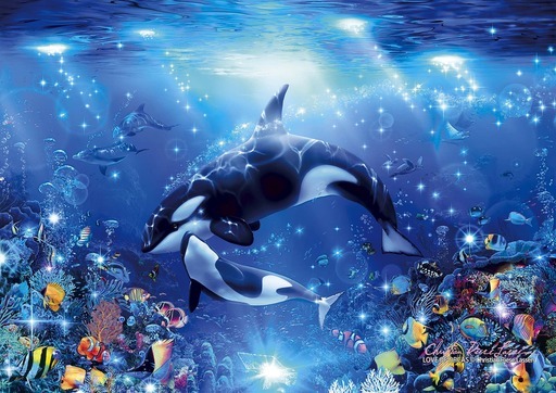 love of orcas_216
