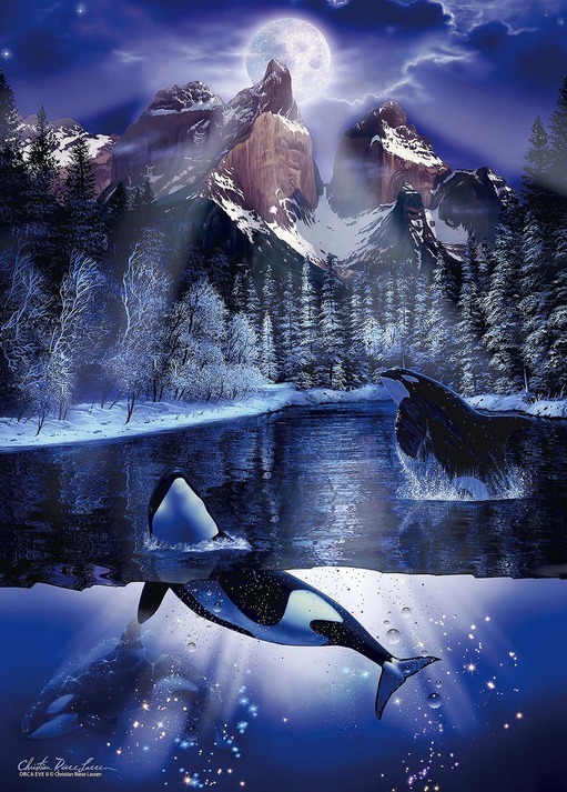 orca eve II_500_shine