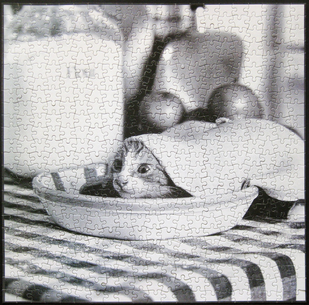 bvleisure_kitty pie_900 IMG_1018