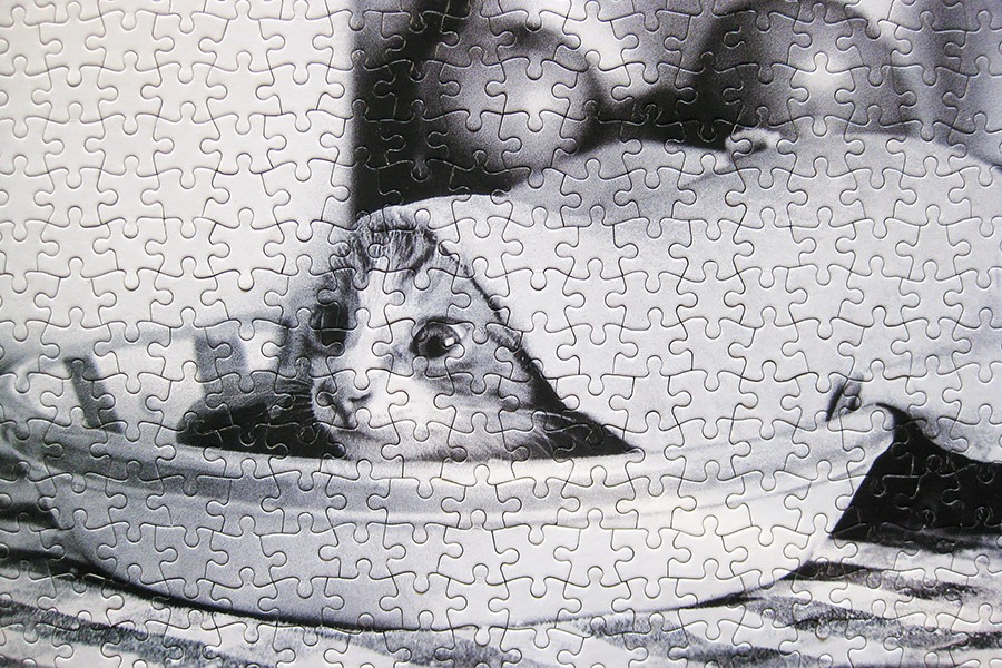 bvleisure_kitty pie_900 IMG_1029