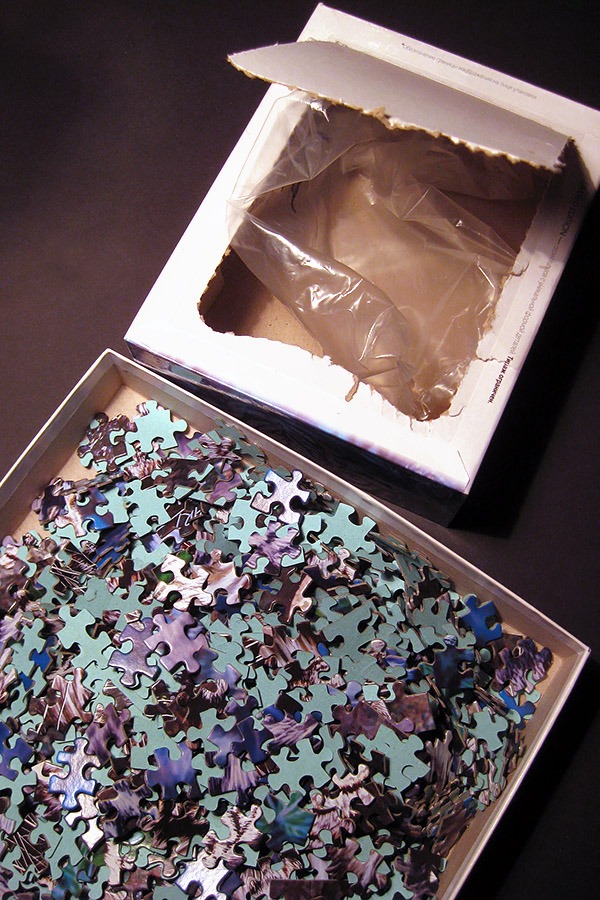 step puzzle_tigers_900 IMG_0642