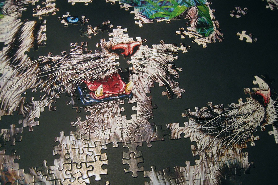 step puzzle_tigers_900 IMG_0643