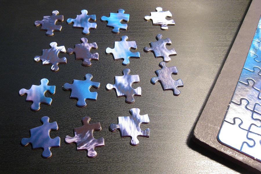 step puzzle_tigers_900 IMG_0645
