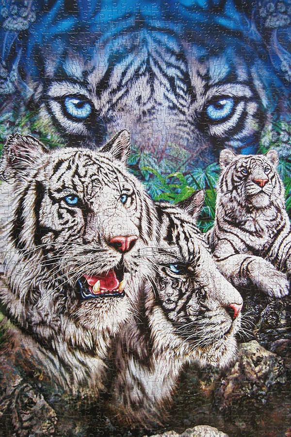 step puzzle_tigers_900 IMG_0651