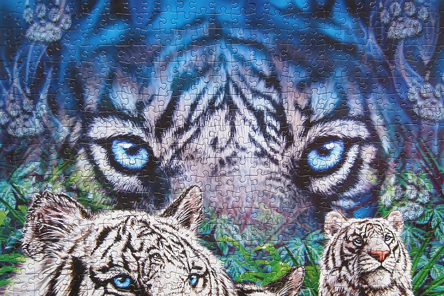 step puzzle_tigers_900 IMG_0670