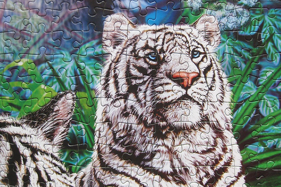 step puzzle_tigers_900 IMG_0672