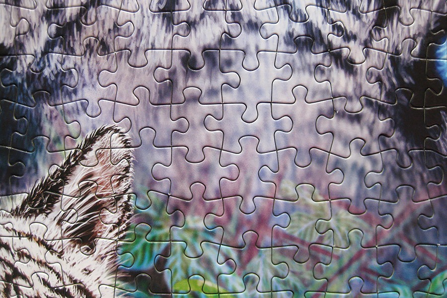 step puzzle_tigers_900 IMG_0675