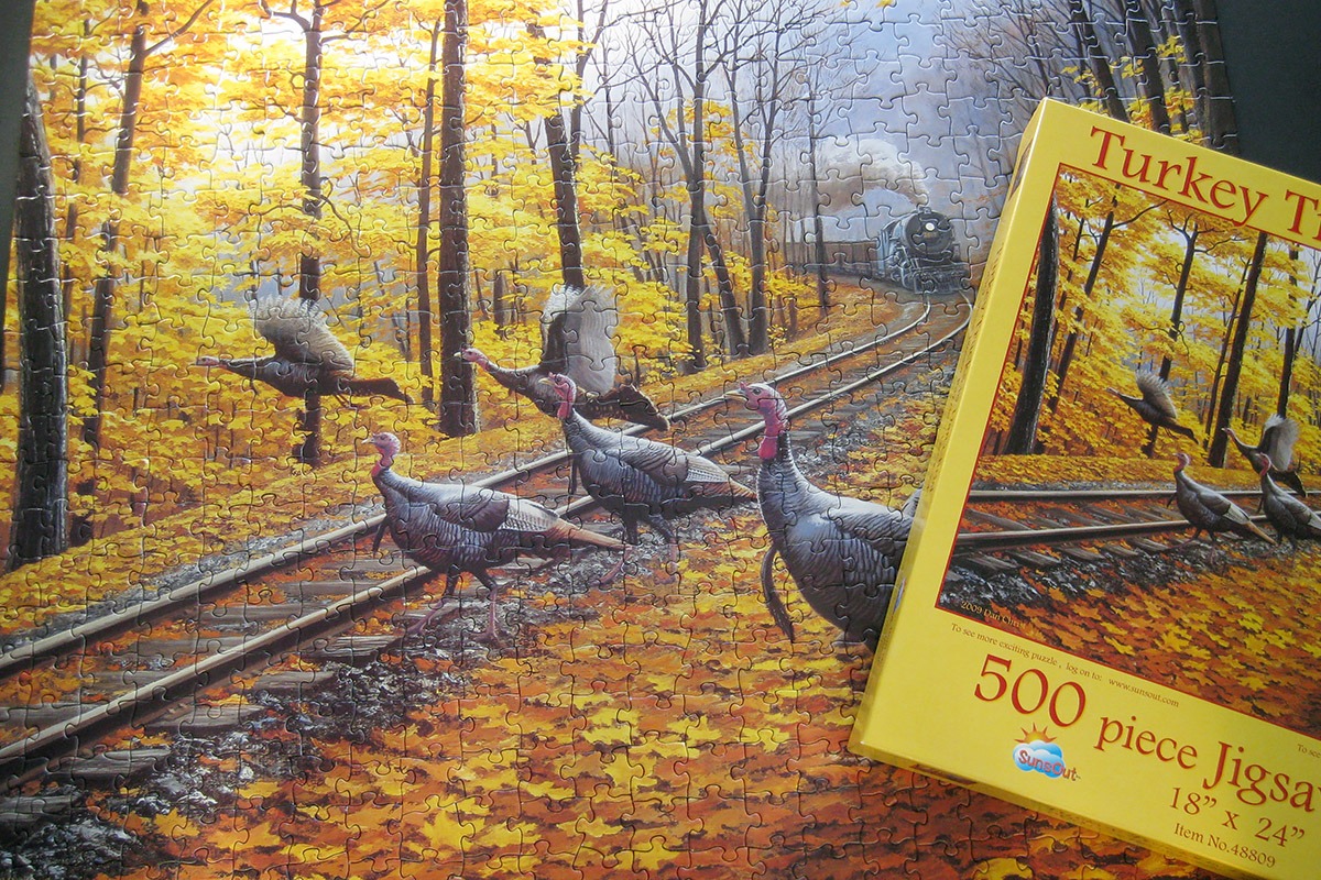 sunsout_turkey tracks_900 IMG_0611.jpg
