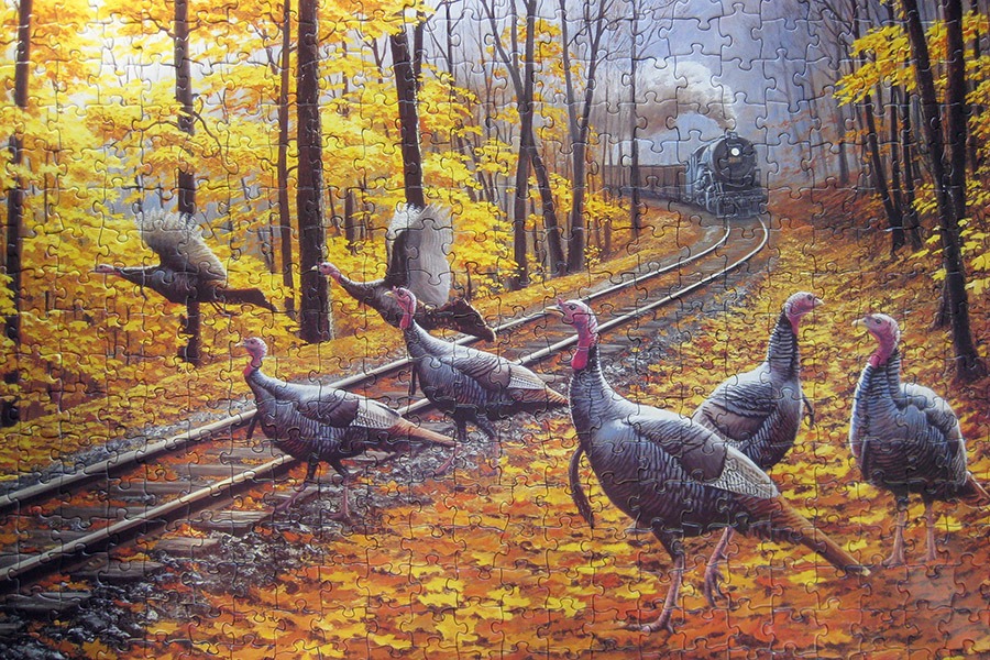 sunsout_turkey tracks_900 IMG_0612.jpg