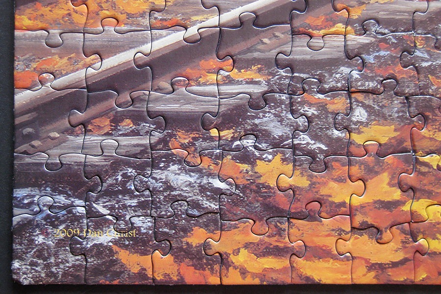 sunsout_turkey tracks_900 IMG_0628