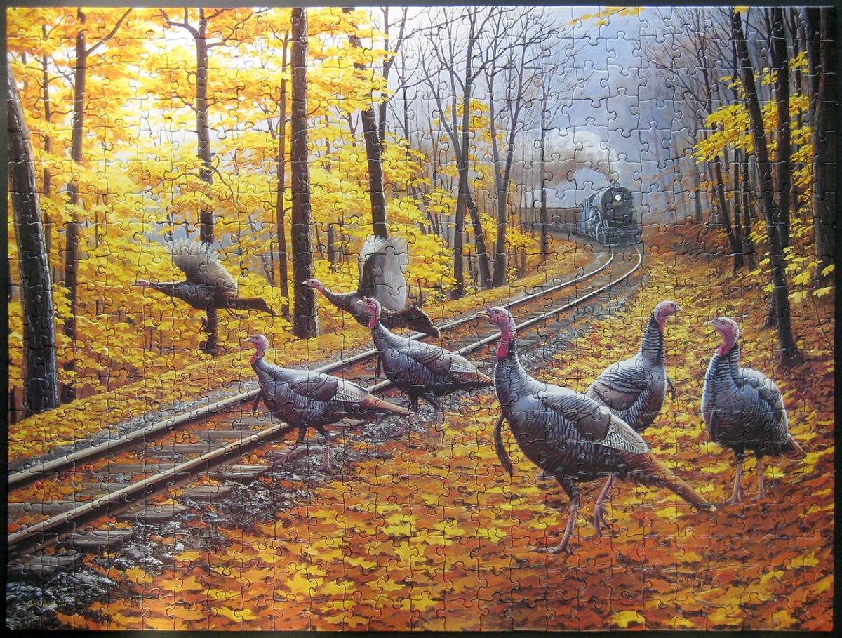 sunsout_turkey tracks_900 turkey tracks_sunsout_IMG_0599.jpg