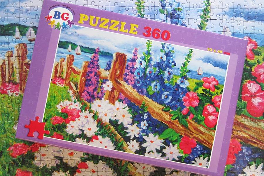 900 bg puzzle_IMG_0523