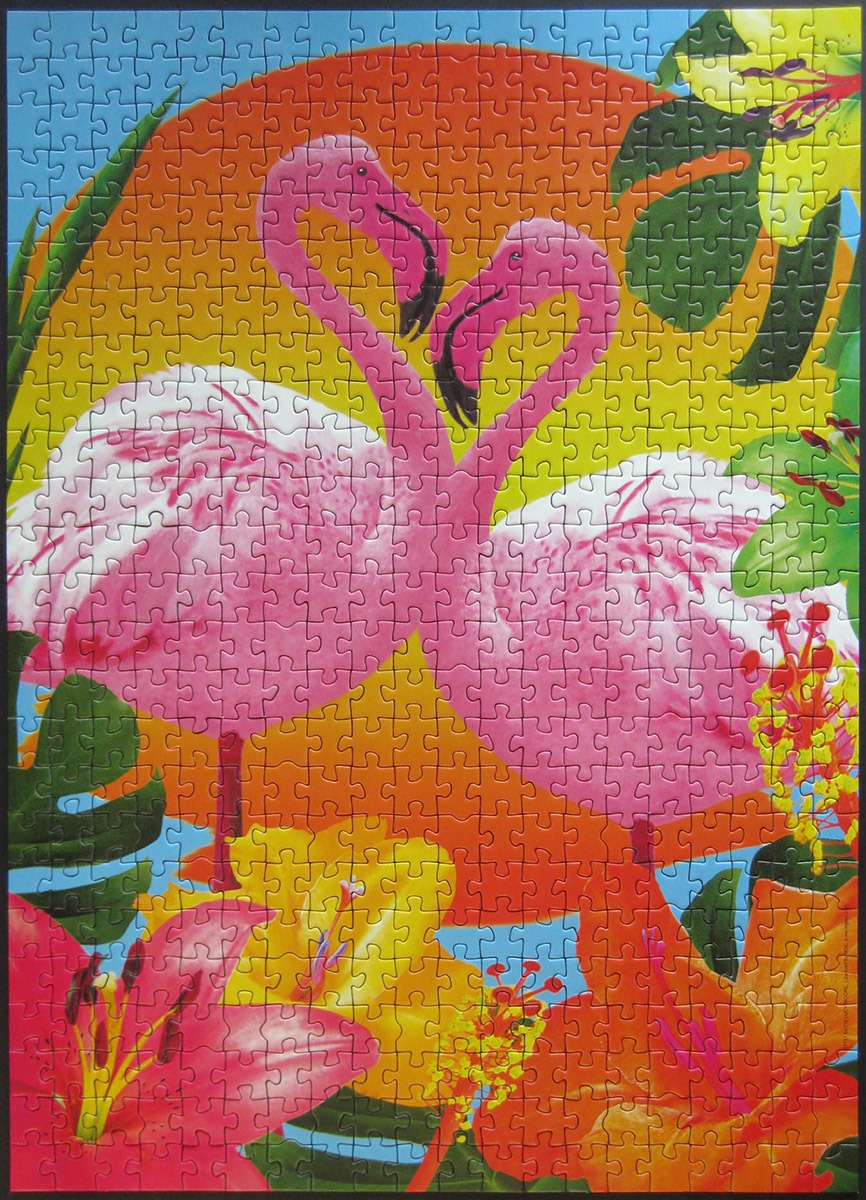 educa 500 flamingo 900 IMG_0806