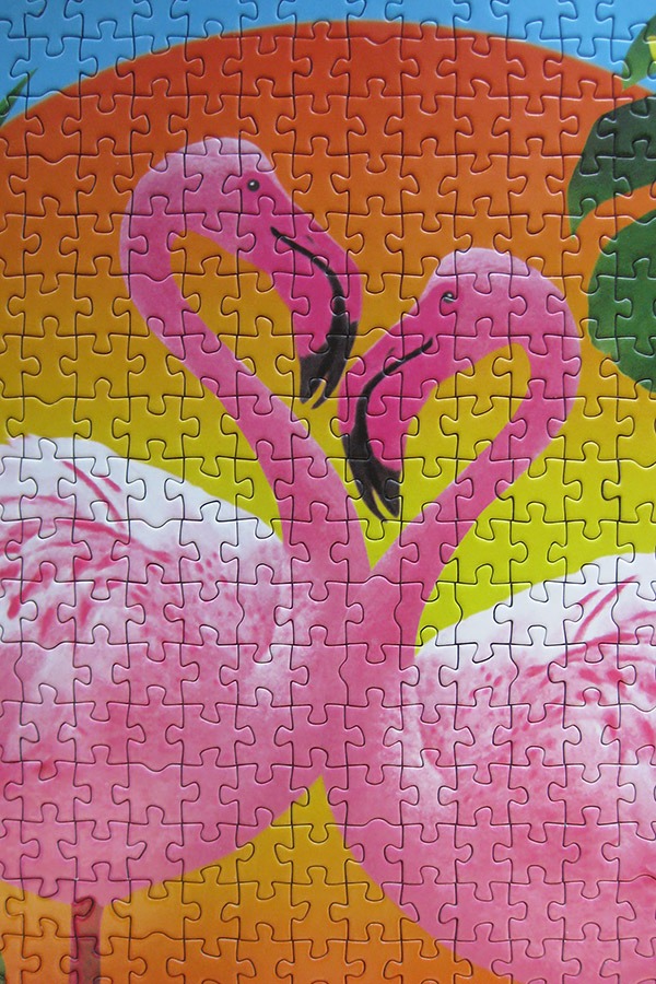 educa 500 flamingo 900 IMG_0817.jpg