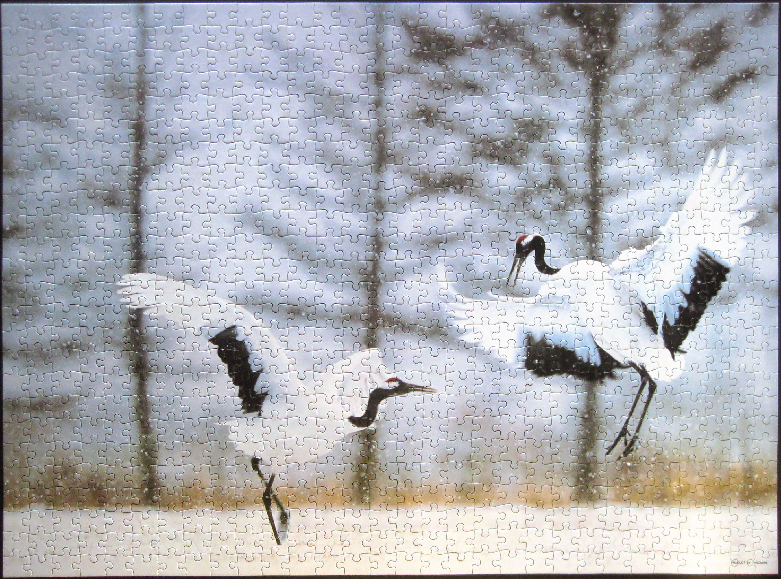 cranes_yanoman_1000_IMG_0973
