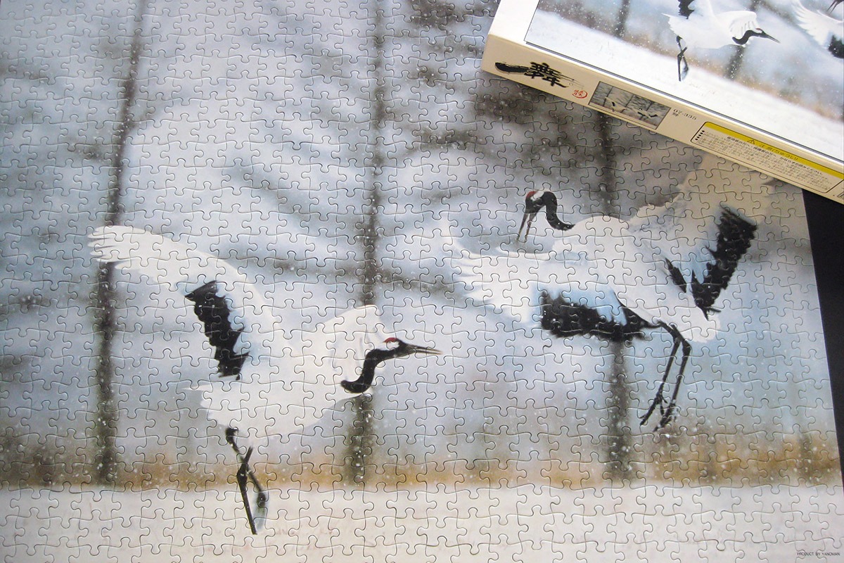 cranes_yanoman_1000_IMG_0986.jpg