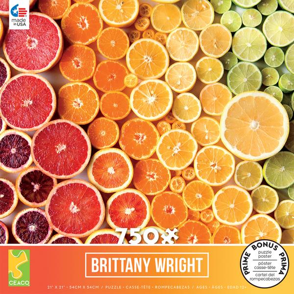 2931_BrittanyWright_750_boxes.indd